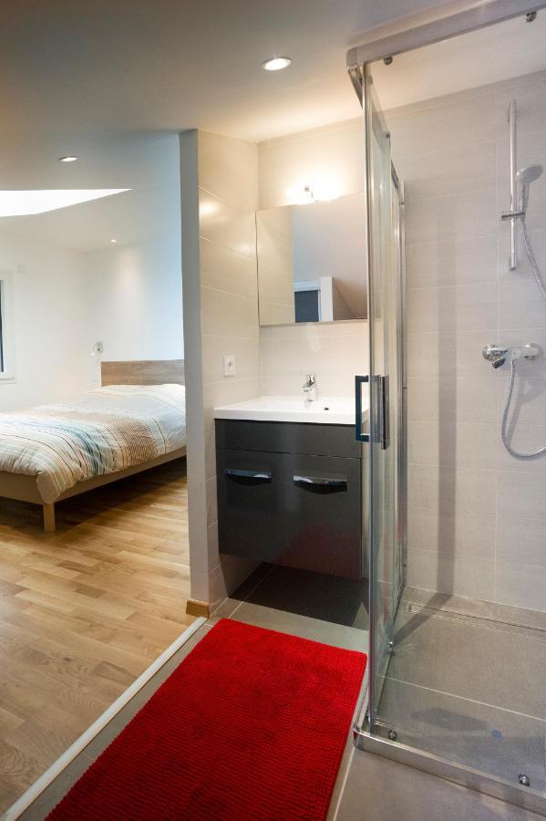 Sévrier Appartement Mont Blanc - Vue Lac מראה חיצוני תמונה